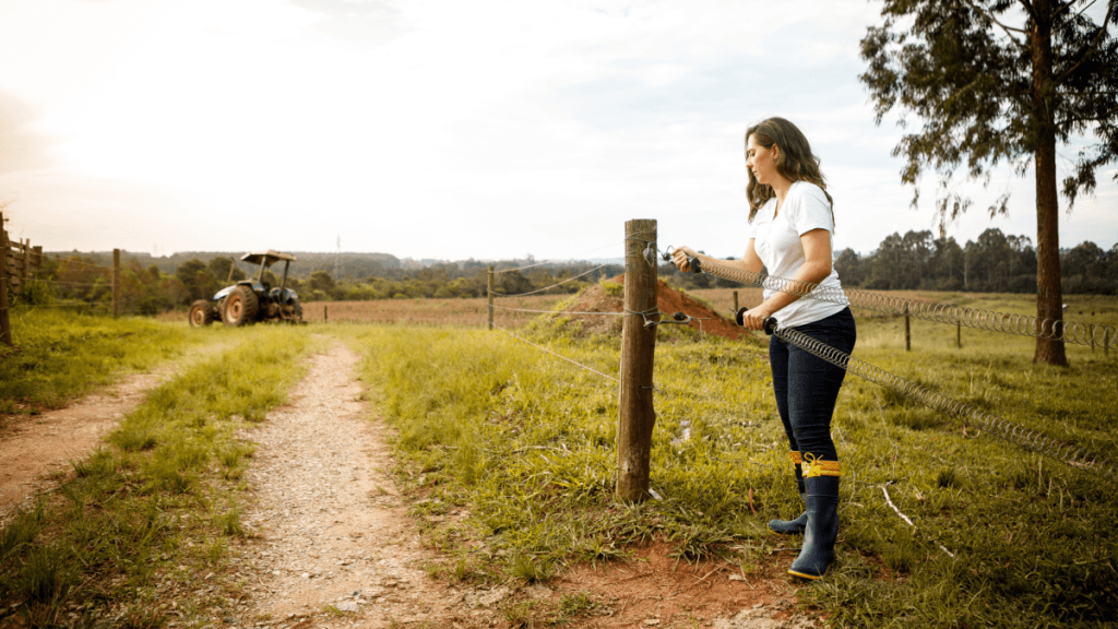 Lab News – 39ª edição Artigo Marina e Arthur